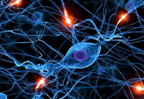 Neuro Linguistic Programming (NLP)